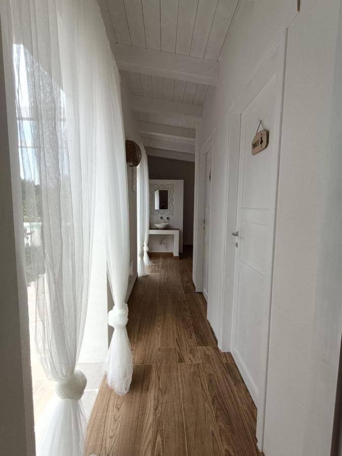 Tenuta Viale Degli Ulivi 圣马蒂诺－因彭西利斯 外观 照片