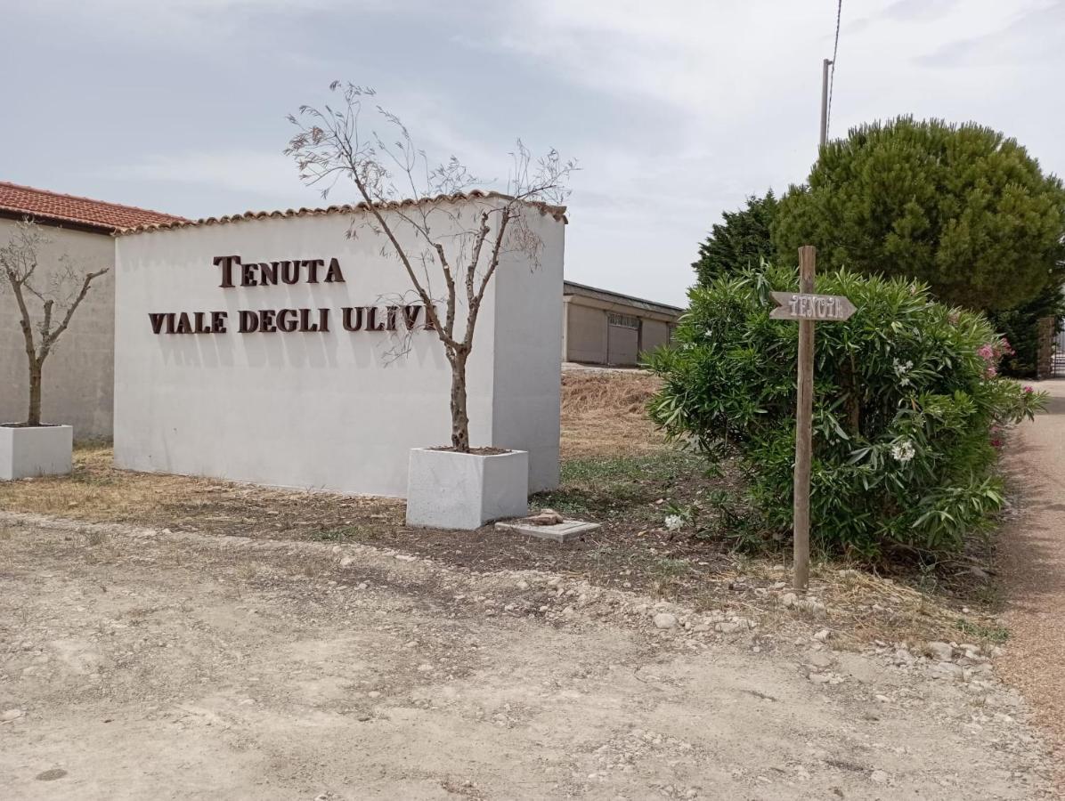 Tenuta Viale Degli Ulivi 圣马蒂诺－因彭西利斯 外观 照片