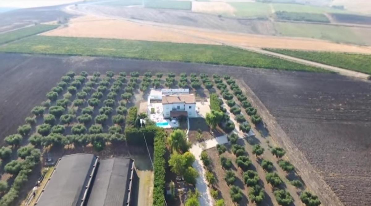 Tenuta Viale Degli Ulivi 圣马蒂诺－因彭西利斯 外观 照片