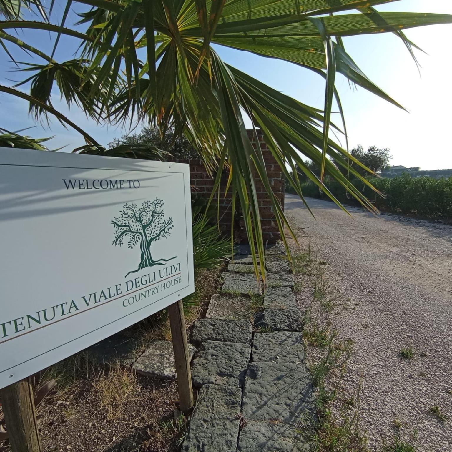 Tenuta Viale Degli Ulivi 圣马蒂诺－因彭西利斯 外观 照片