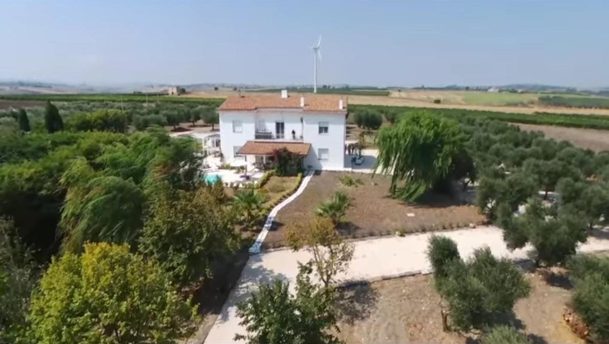 Tenuta Viale Degli Ulivi 圣马蒂诺－因彭西利斯 外观 照片