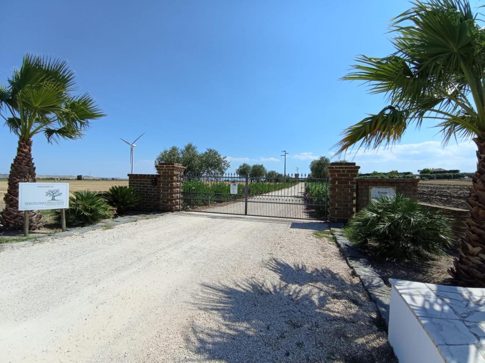 Tenuta Viale Degli Ulivi 圣马蒂诺－因彭西利斯 外观 照片