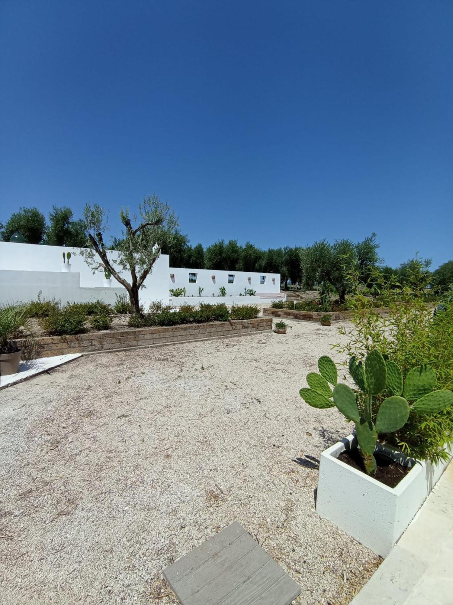 Tenuta Viale Degli Ulivi 圣马蒂诺－因彭西利斯 外观 照片