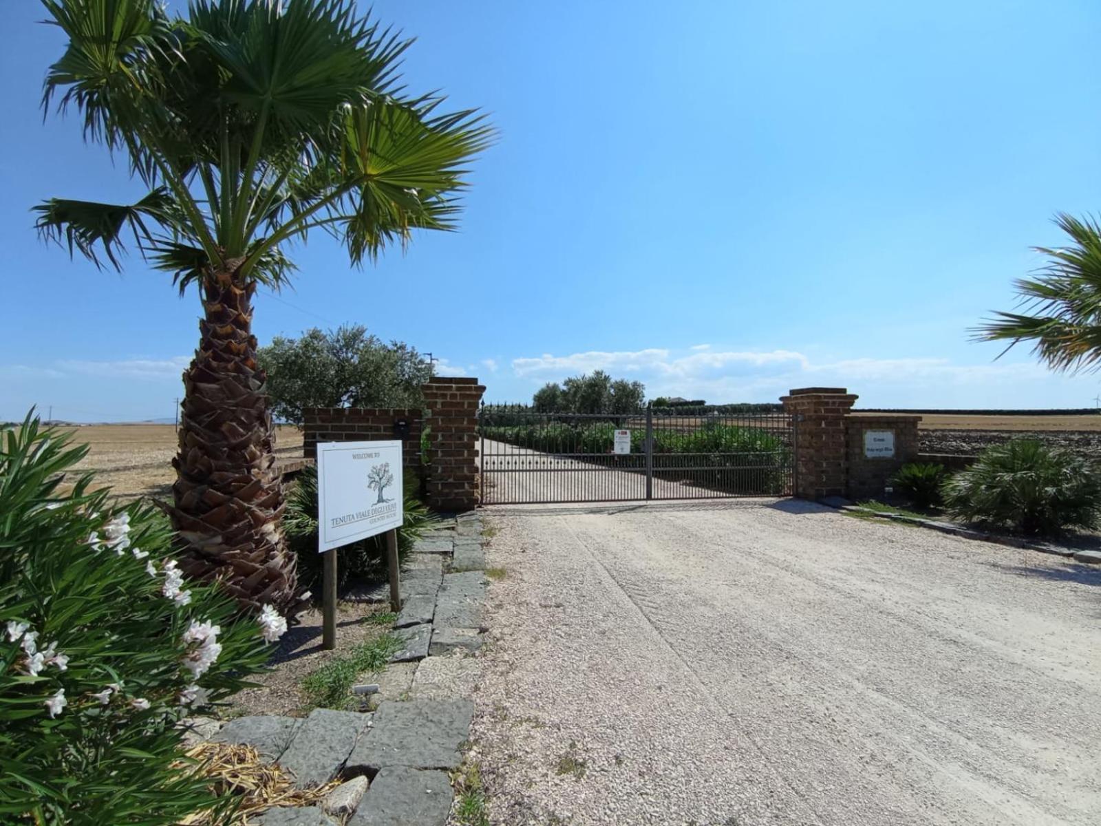 Tenuta Viale Degli Ulivi 圣马蒂诺－因彭西利斯 外观 照片