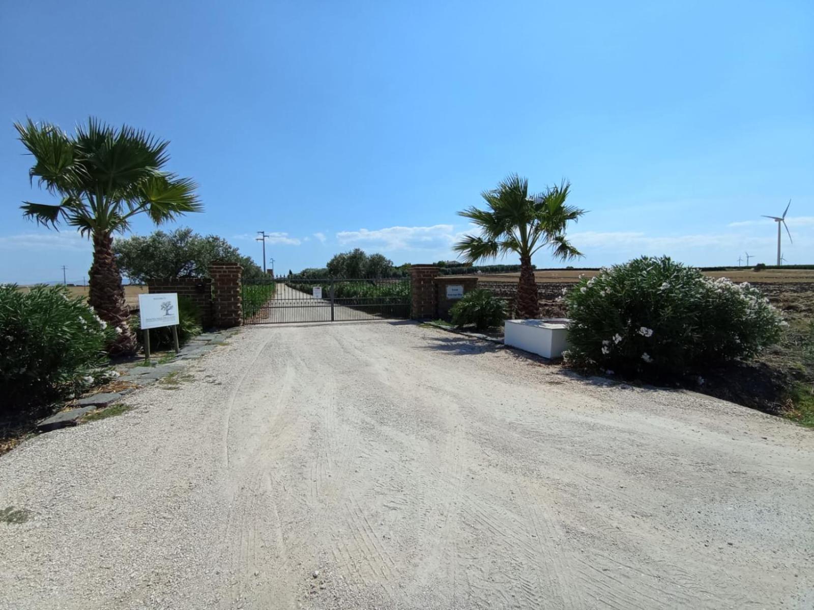 Tenuta Viale Degli Ulivi 圣马蒂诺－因彭西利斯 外观 照片